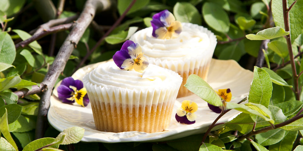 London Food Photographer Violet Cupcakes 5470